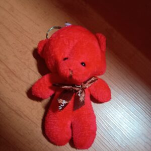 Ursinho de Pelúcia pequeno
